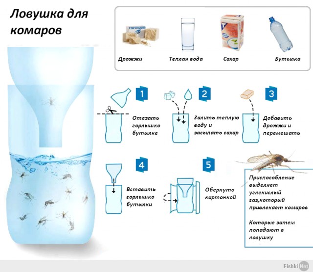 Запоминайте на лето