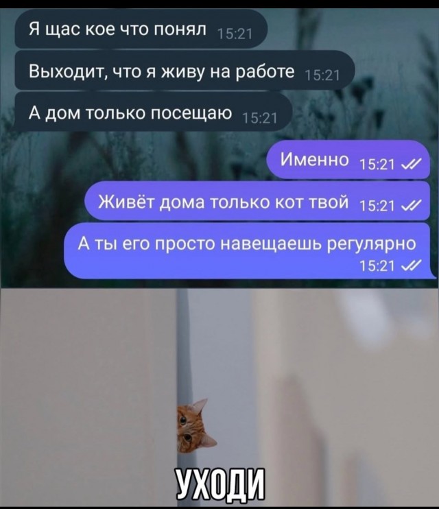From the archives. Часть первая.