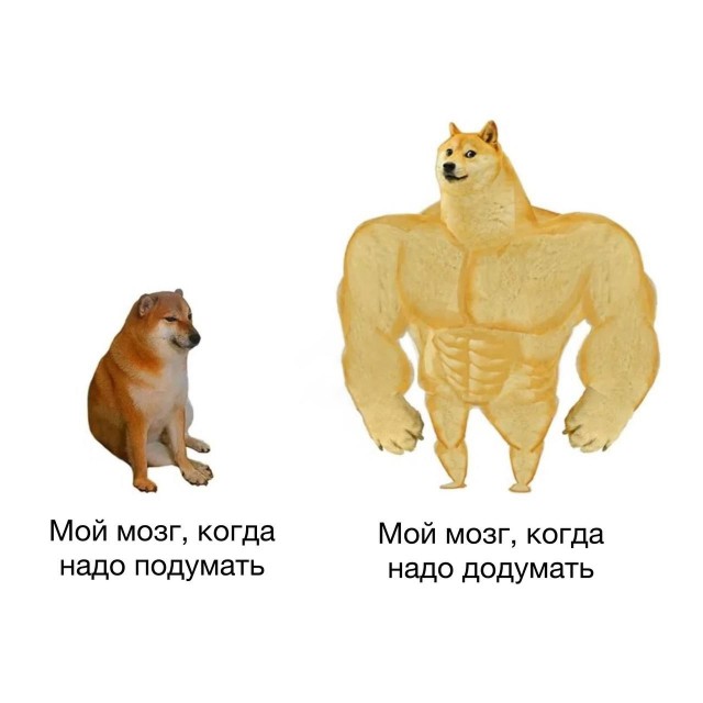Весёлый полтишок 24.04.25