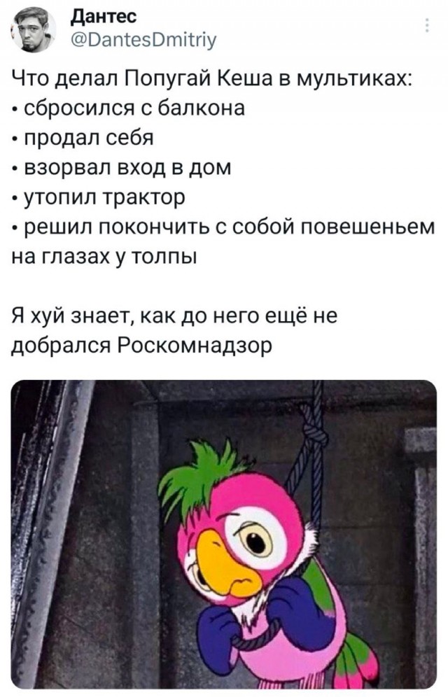 Немного забавных картинок от 14.06.2025