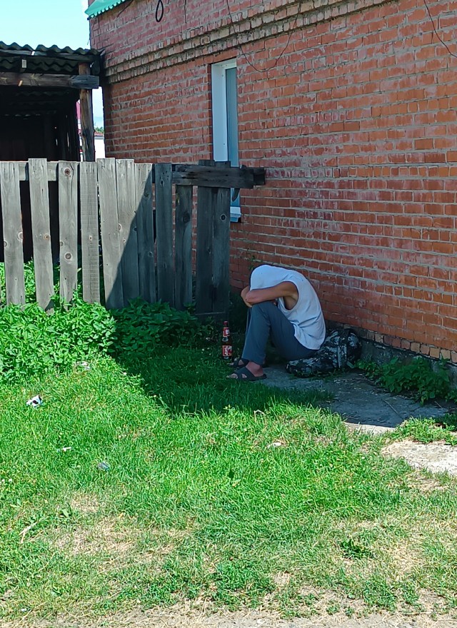 В догон про гигантских Жуков