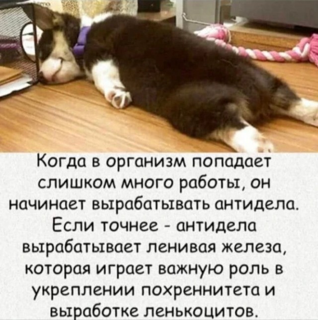 Завалялось тут случайно немного забавных картинок