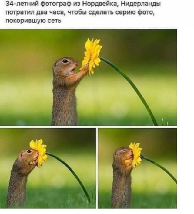 Так себе картинки 14.07.25