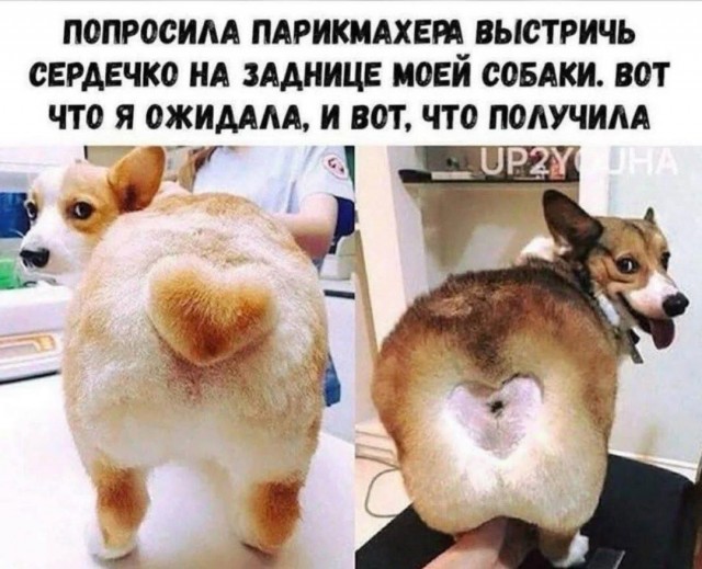 Веселое настроение в картинках (21.07.2025)