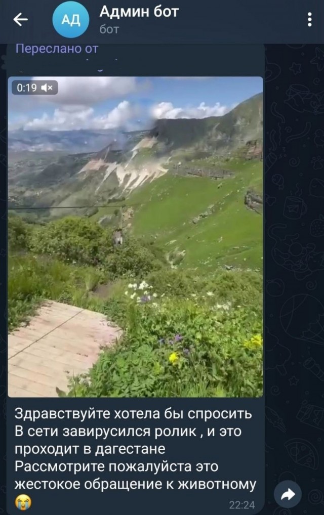 Не исключено...не значит - доказано