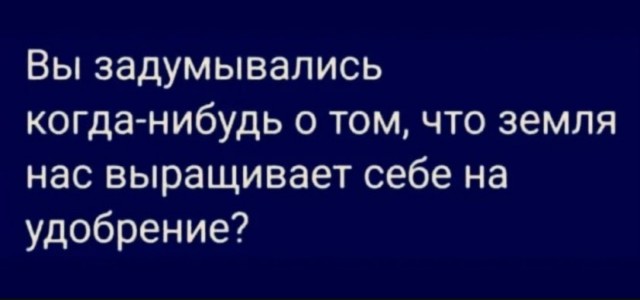 Так себе картинки 05.08.25