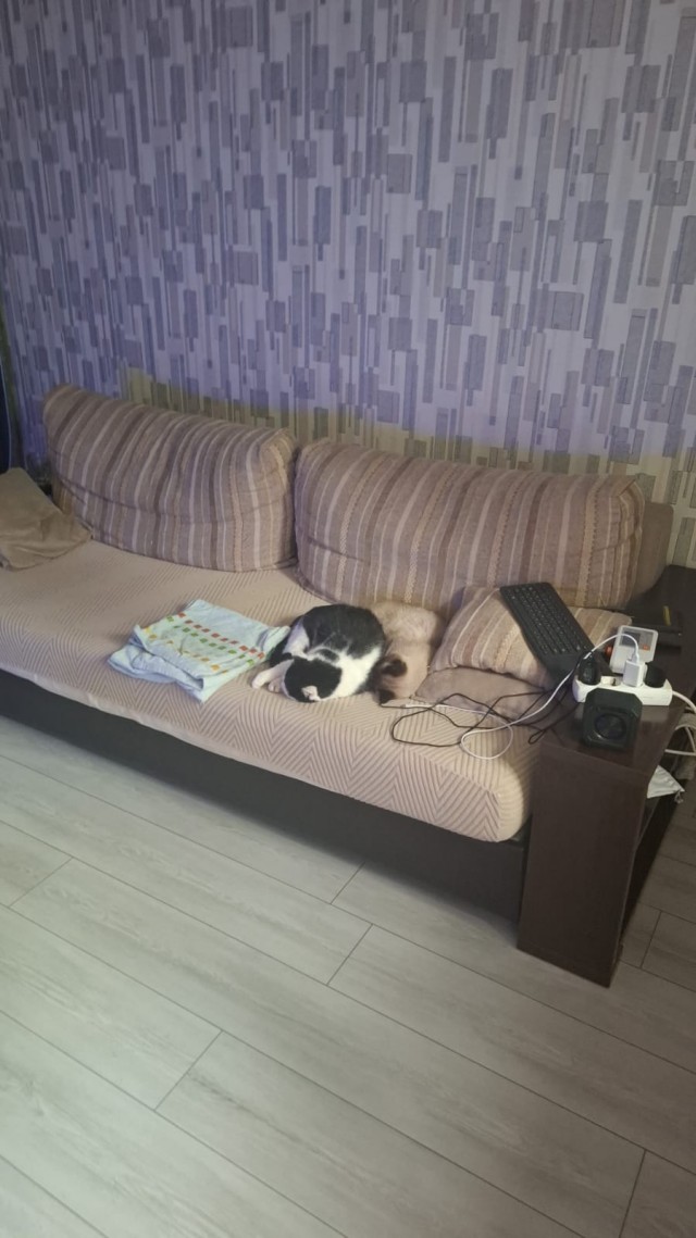 К котовторнику: подборка картинок-баянов с котиками и про котиков. Выпуск 18.