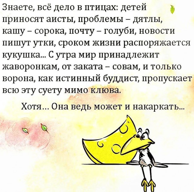 Так себе картинки 28.08.25