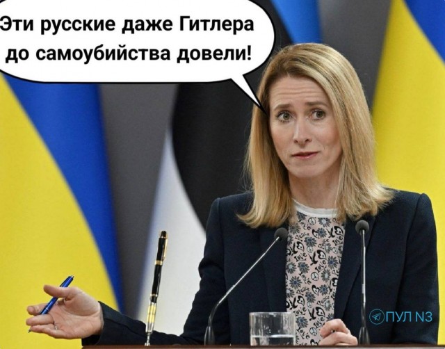 Владимир Мединский высмеял уровень образования Каи Каллас и предложил провести ей персональный ликбез по истории.
