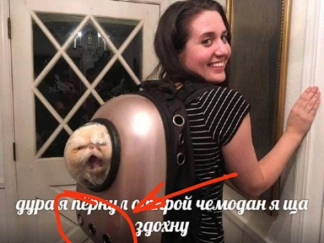 Картинки для деградации 102 (разной степени свежести)