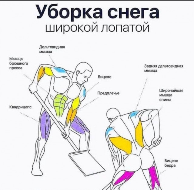 Внимание, вопрос.