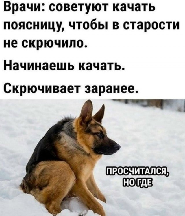 Дегидродегенерация