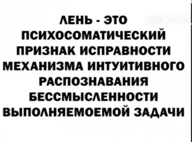 Картиночки, баянчики 29 января