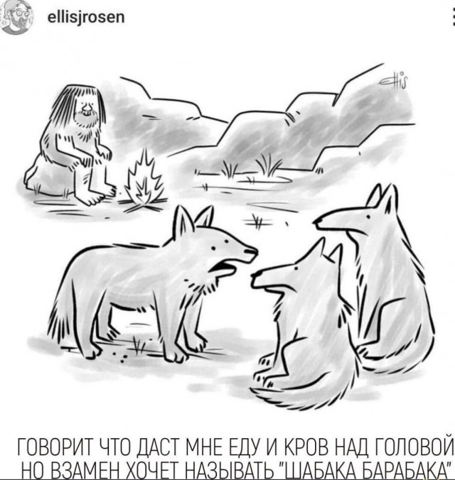 Когда отвезли вместо парка к ветеринару
