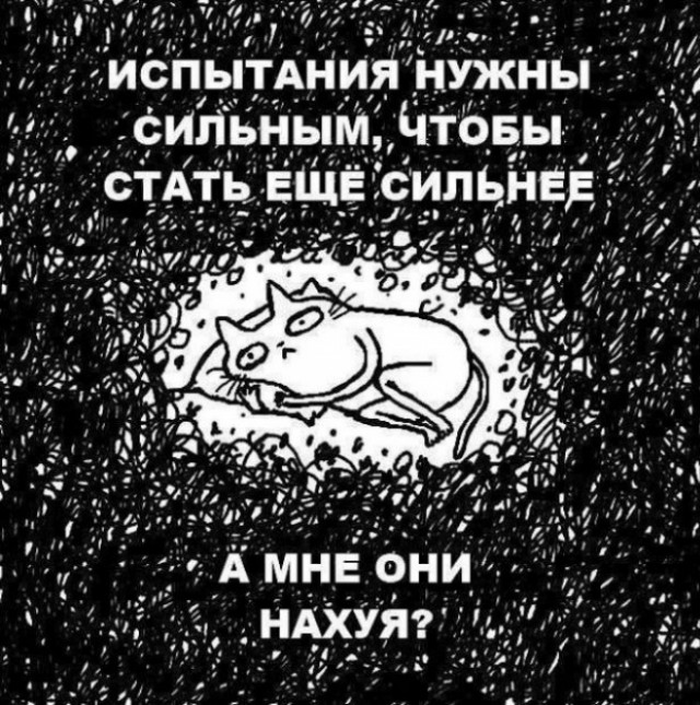 Потная гамсахурдия №2 - веселые картинки