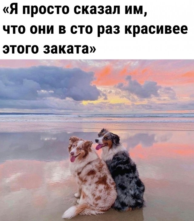Так себе картинки 18.03.26