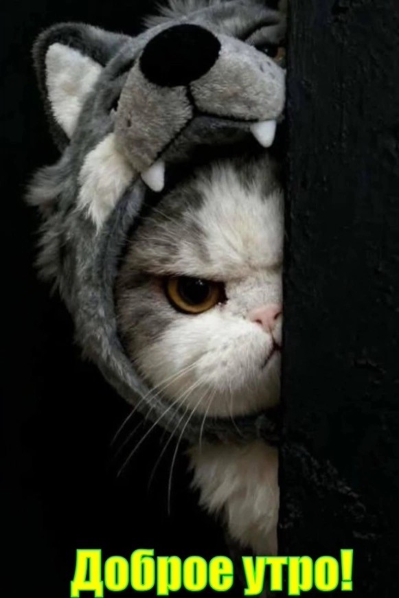 Воскресные картинки