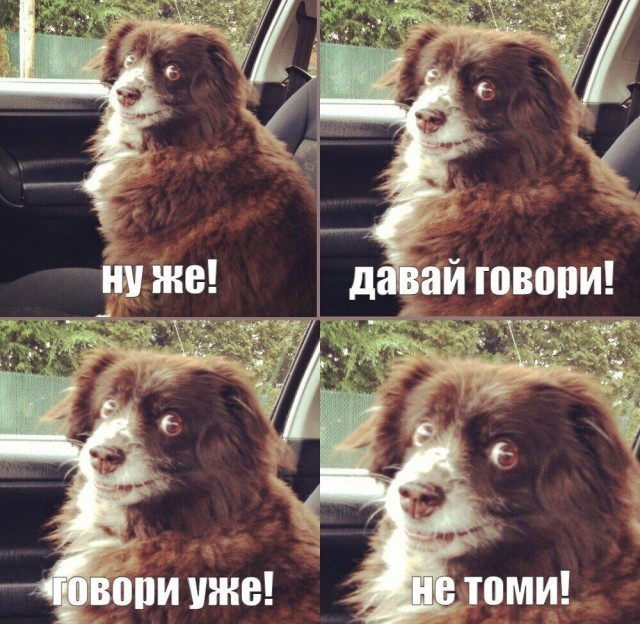 Да он читер!