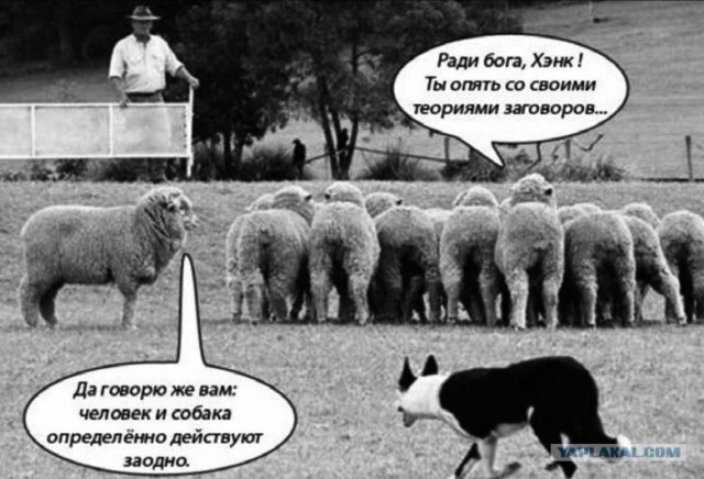 Это все иллюзия обмана?!