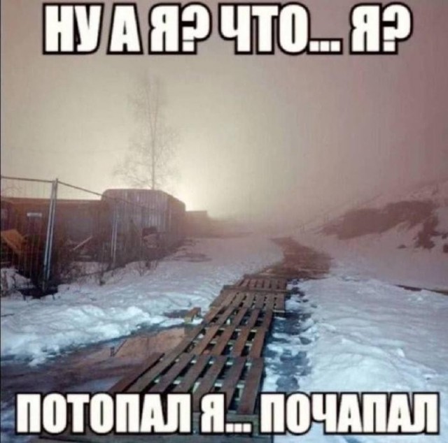 Картинки для деградации 220 (разной степени свежести)