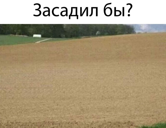 Картинки для деградации 258 ( разной степени свежести)