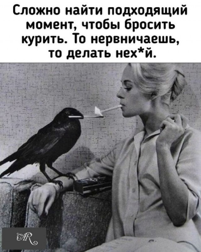 Веселые картинки в последний день лета (31.02)