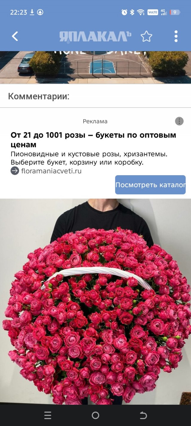 Жизнь после медовика