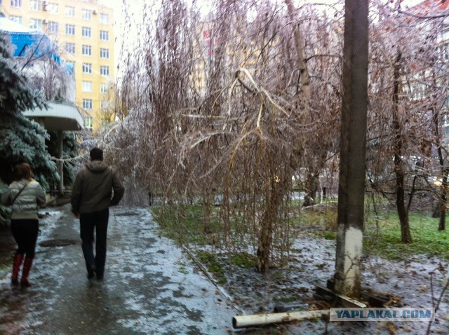 Краснодар в глазури