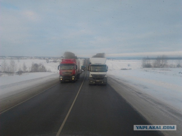 Где яблоки растут!