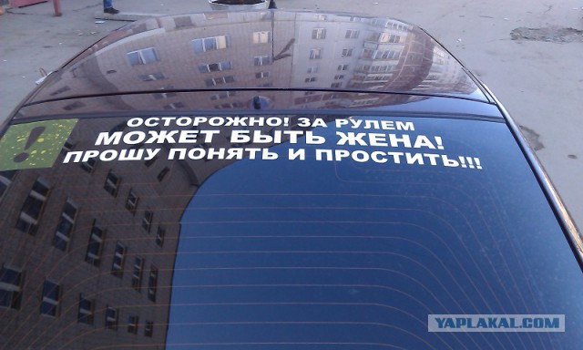 Немного смешных картинок из сети