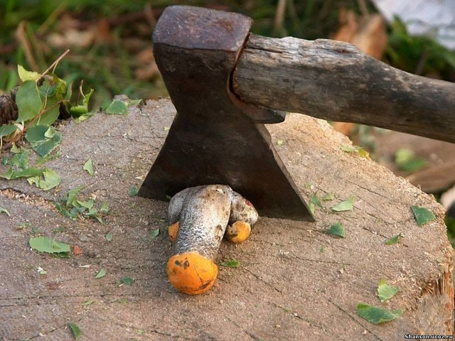 Плюсомет со шпалометом