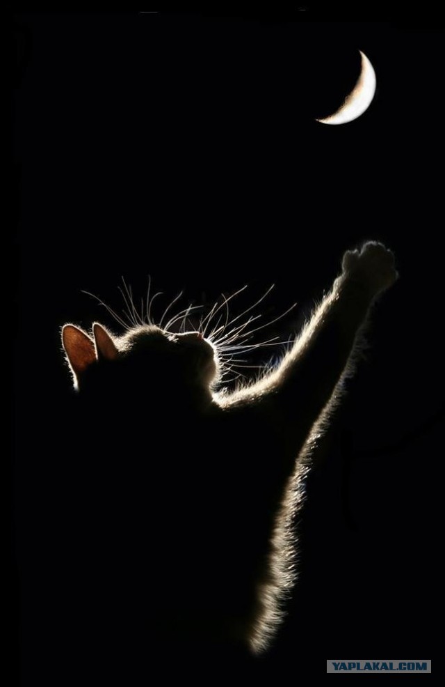 А что у Вас сейчас?