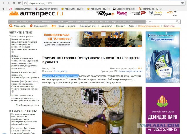 Антикот