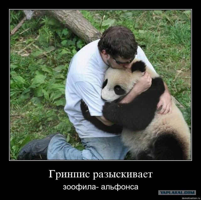Ранцевый электрошокер
