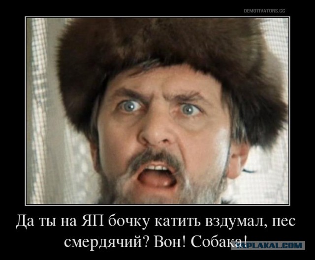 3 категории критиков ЯП