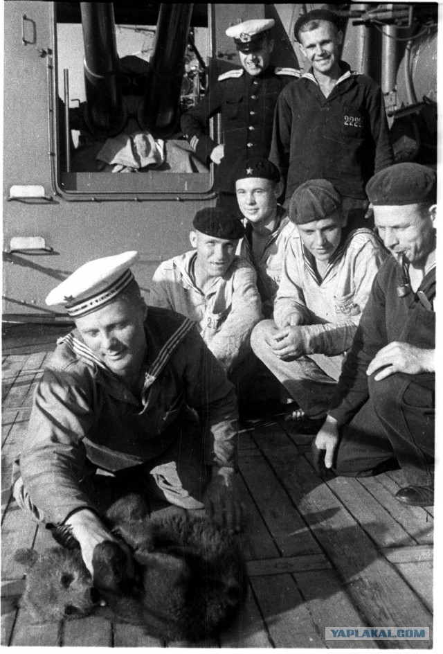 Фотографы войны. Северный флот
