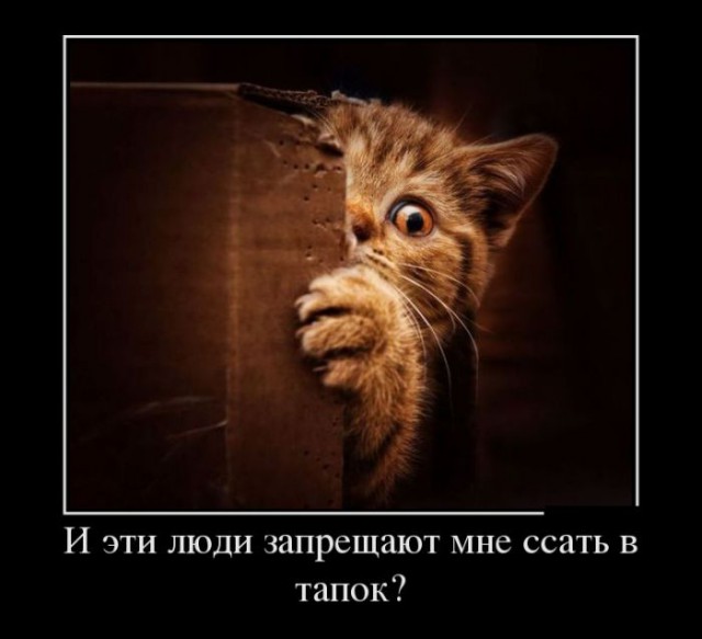 Картинки с просторов на четверг