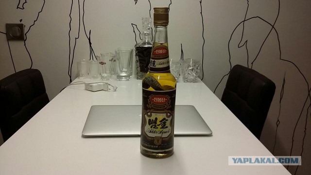 15 самых необычных алкогольных напитков