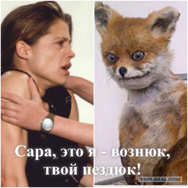 Срифмовала фамилию судьи...пришли с обыском