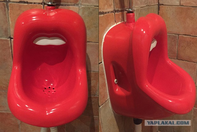 13 классных видов из туалетов!