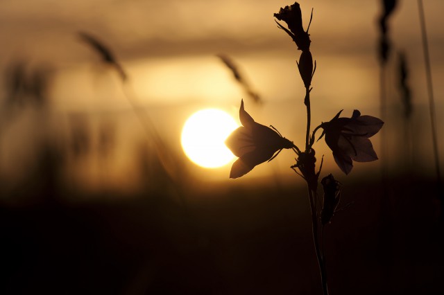 Подборка интересных и веселых картинок
