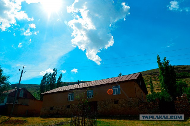 Фотоподборка