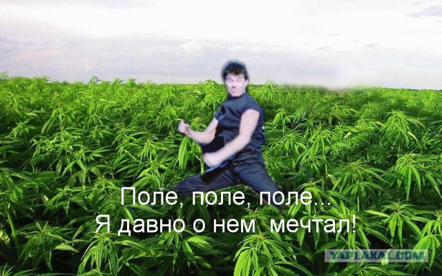 Олег Газманов – о Майкле Фелпсе: «Наличие наркомана на Играх разрывает мое сердце»