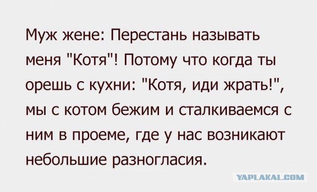 Смешные комментарии из социальных сетей 09.09.2016