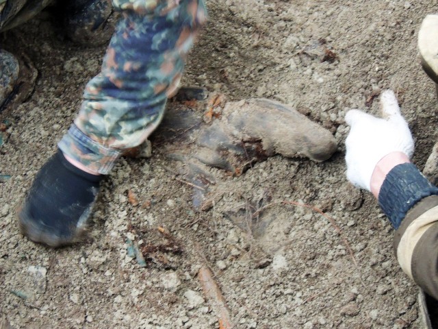 Эхо войны. Быть может, вы будете знать о моей смерти, то сообщите...
