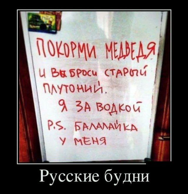 Прикольные картинки