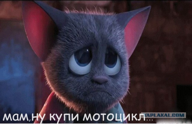«Села — дала! Уронил — женился!» и другие факты об уфимских байкерах