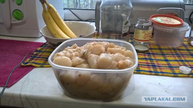 Мой Новый Год на море. Баренцевом море.
