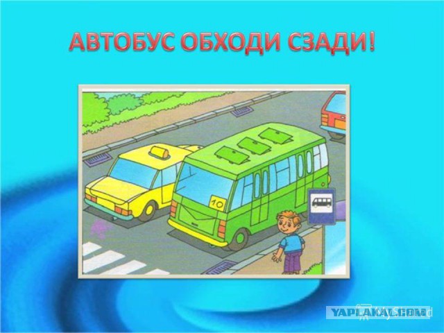 15-летний школьник выбежал на дорогу из-за автобуса — прямо под машину