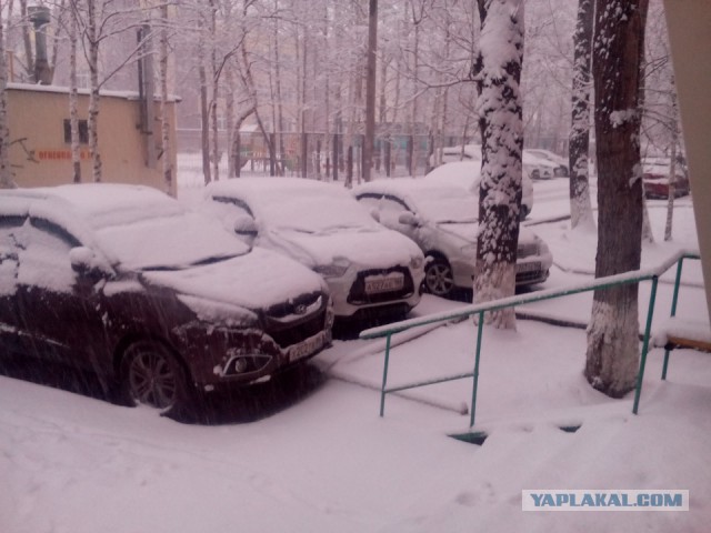 17 мая Сургут